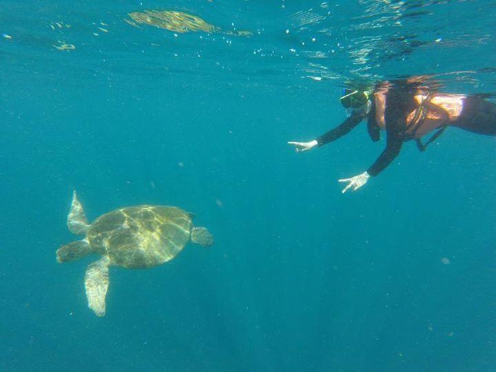 Готель Sipadan Micro Dive Mabul Island Екстер'єр фото